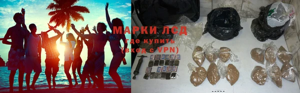 мяу мяу мука Беломорск