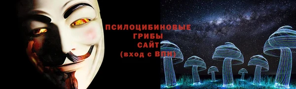 мяу мяу мука Беломорск