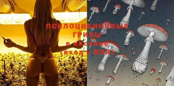 метамфетамин Белокуриха