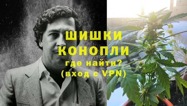 твердый Пересвет